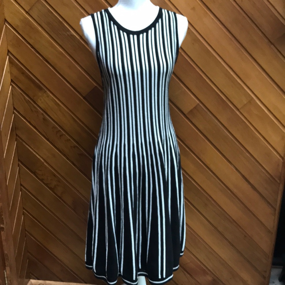 ANN TAYLOR sleeveless sweater dress NEVER WORN